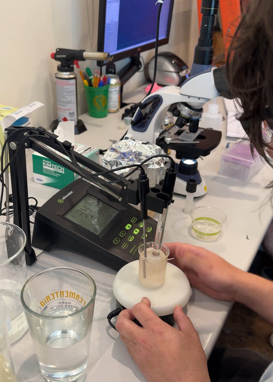 Under the Microscope: Q&A Session